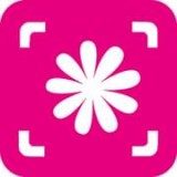 植物拍照识别安卓版