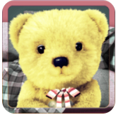 会说话的毛绒熊手机版