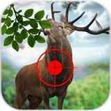 野生鹿狩猎安卓版