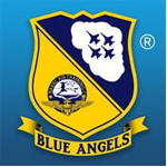 蓝色天使特技飞行手机版