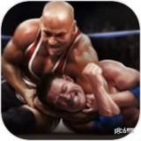 真实摔跤官网版
