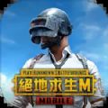 越南服pubg最新版