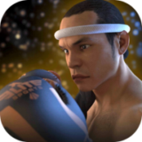 跆拳道对决泰拳手机版