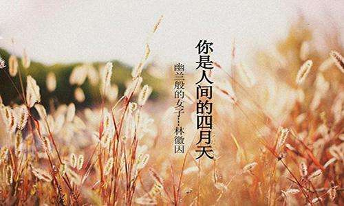 抖音愿我在六十岁的时候陪你看看夕阳是哪些歌-抖音愿我在六十岁的时候陪你看看夕阳歌曲介绍