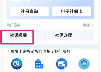 支付宝如何交养老保险-详细操作指南 支付宝如何交养老保险-详细操作指南
