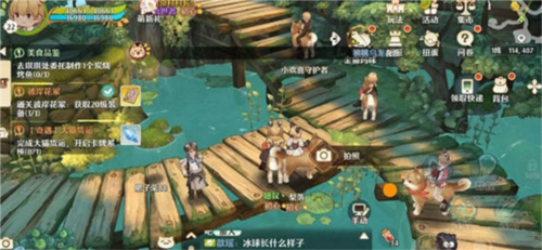 森之国度旅行青蛙最佳位置指南