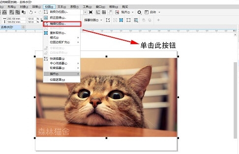 CorelDRAW克隆工具去水印指南:方法详解 CorelDRAW克隆工具去水印指南:方法详解