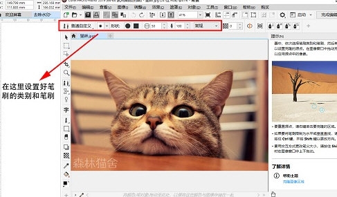 CorelDRAW克隆工具去水印指南:方法详解 CorelDRAW克隆工具去水印指南:方法详解