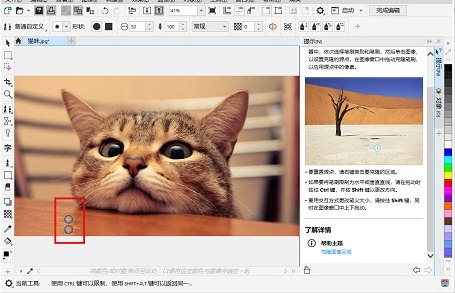 CorelDRAW克隆工具去水印指南:方法详解 CorelDRAW克隆工具去水印指南:方法详解