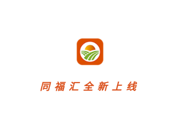 同福汇APP操作技巧:提升交易效率的实用指南 同福汇APP操作技巧:提升交易效率的实用指南
