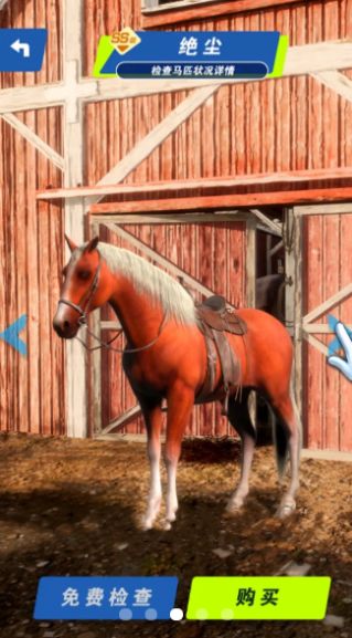 赛马也疯狂攻略：安装指南与技巧分析