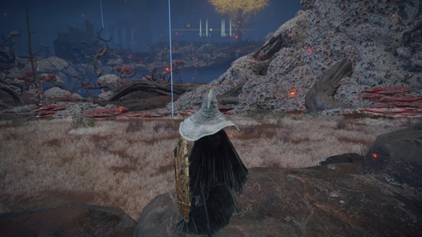 艾尔登法环死亡仪式鸟位置揭秘_死之鸟全奖励详解