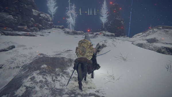 艾尔登法环死亡仪式鸟位置揭秘_死之鸟全奖励详解