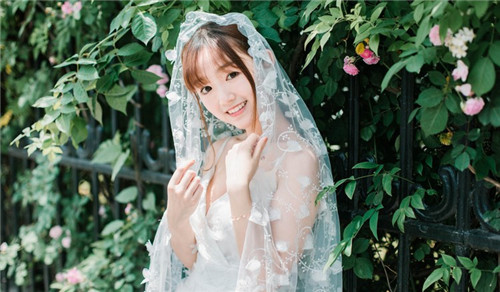 狐狸视频免费下载：畅享高清影视资源与精彩内容体验