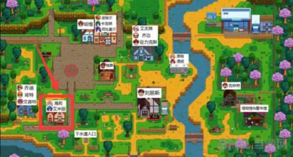 星露谷物语海莉生日在哪里庆祝？探索海莉生日的特殊地点与隐藏惊喜