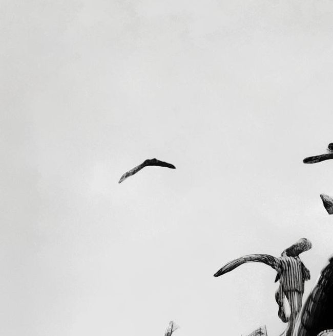 白菜追剧投屏版如何提升观剧体验?智能投屏技术让你畅享更清晰画质 白菜追剧投屏版如何提升观剧体验?智能投屏技术让你畅享更清晰画质