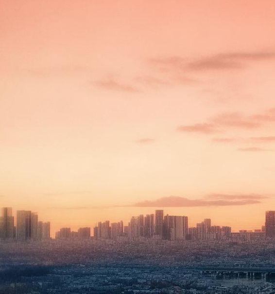 小蝌蚪榴莲丝瓜秋葵樱桃是什么样的奇妙组合?探索这些食材的独特魅力与美味搭配 小蝌蚪榴莲丝瓜秋葵樱桃是什么样的奇妙组合?探索这些食材的独特魅力与美味搭配