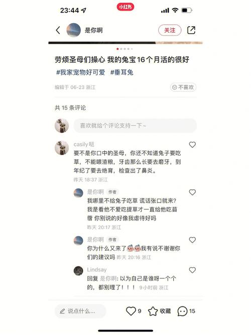 老来约最新版靠谱吗？用户体验揭示真相，引发深思