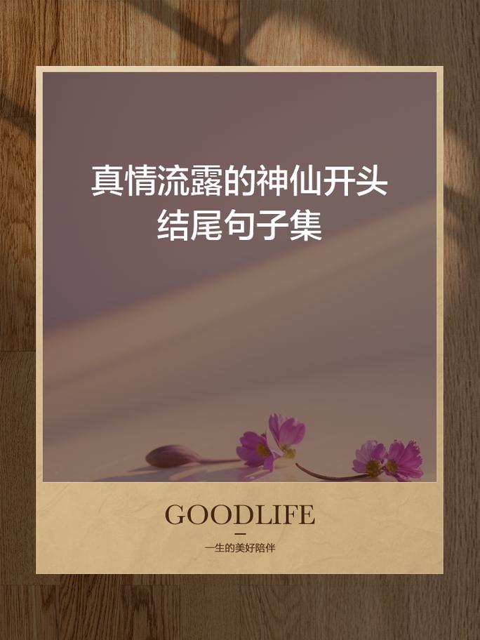 胸前的柔软为何触动人心？掌心的温热，是情感的悄然回应