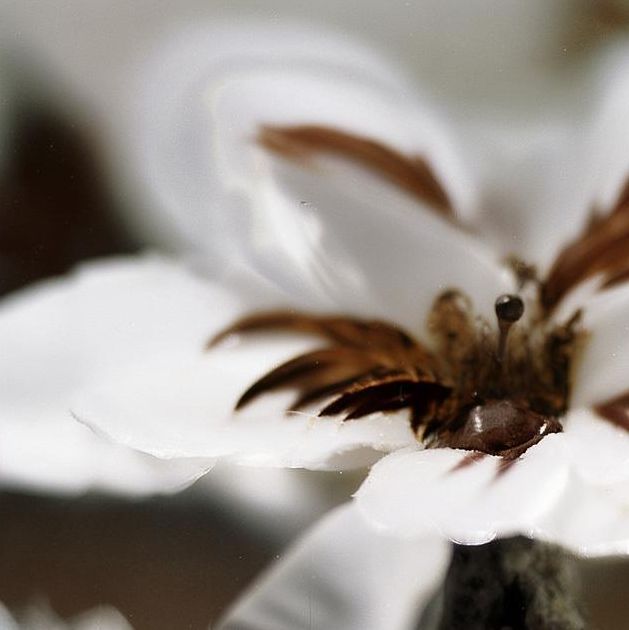 ‘啦啦啦影院安卓版’怎么下载?——用户体验让观影更畅快 ‘啦啦啦影院安卓版’怎么下载?——用户体验让观影更畅快