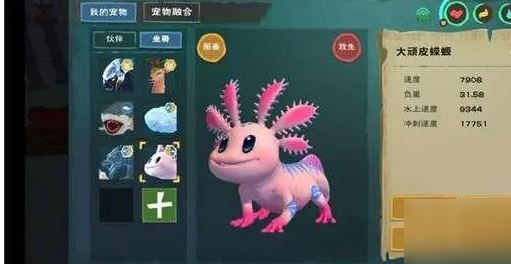 为什么顽皮蝾螈战宠如此受欢迎？玩家因其高资质而争相获取！