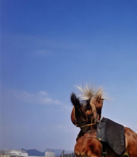 嘟嘟嘟影院安卓版值得下载吗？用户体验丰富且资源全面，引发观影热潮