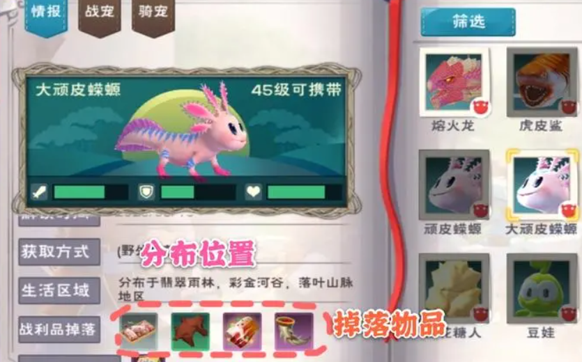 大顽皮蝾螈宠物怎么抓？新手也能轻松驯服这个奇幻伙伴！