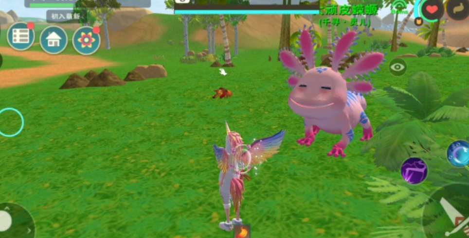 顽皮蝾螈极品资质到底如何?玩家实测结果令人意外 顽皮蝾螈极品资质到底如何?玩家实测结果令人意外