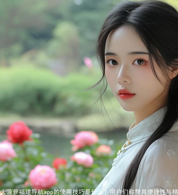 大菠萝福建导航app的使用技巧是什么?用户们,赞其便捷性与精准定位 大菠萝福建导航app的使用技巧是什么?用户们,赞其便捷性与精准定位