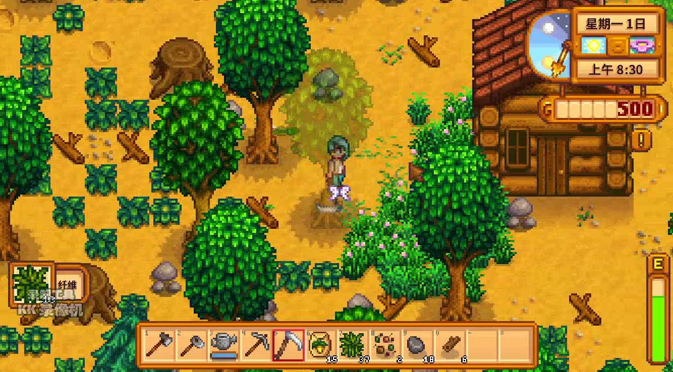 在星露谷物语中有哪些女性角色-探索她们的故事与魅力