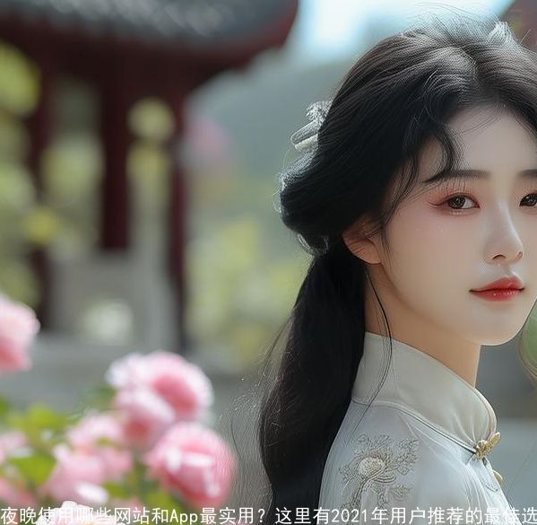 夜晚使用哪些网站和App最实用-这里有2021年用户推荐的最佳选择! 夜晚使用哪些网站和App最实用-这里有2021年用户推荐的最佳选择!