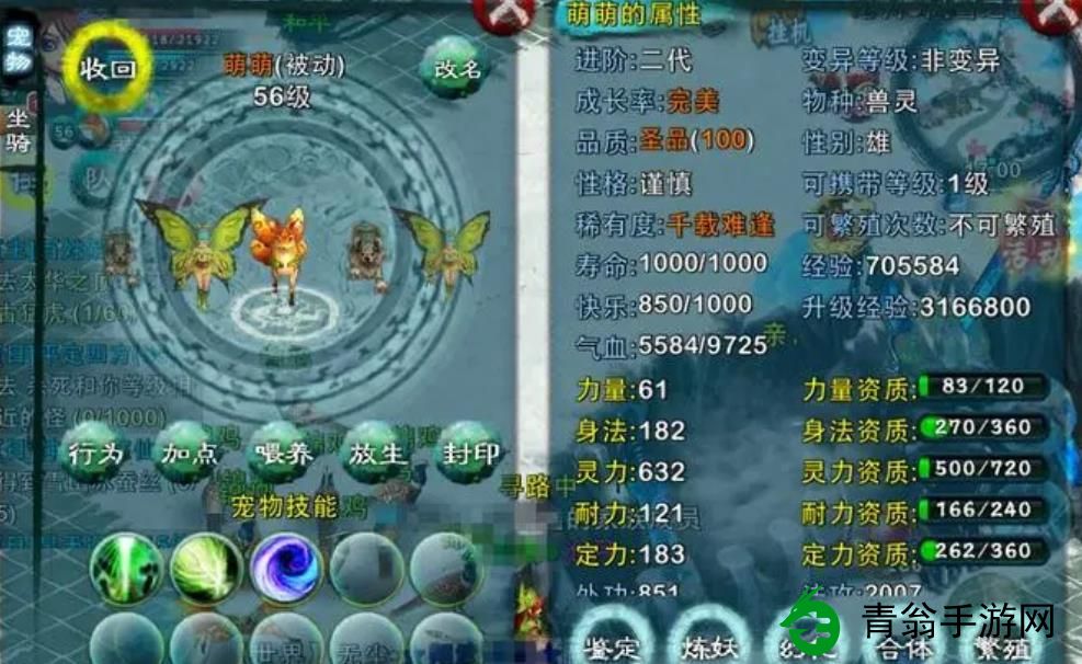 宠物加点该如何操作-高手分享正确选择让你的宠物战力飙升! 宠物加点该如何操作-高手分享正确选择让你的宠物战力飙升!