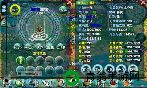 忘仙宠物哪些技能最强-玩家公认的神技解析