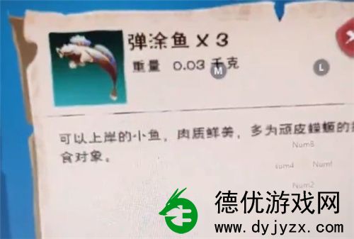 创造与魔法弹涂鱼怎么获得-创造与魔法弹涂鱼获得方法介绍