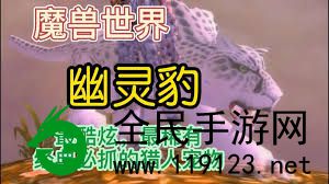 魔兽世界猎手宝宝幽灵豹在哪儿捕捉-探索魔兽世界猎手宝宝幽灵豹的获取地址