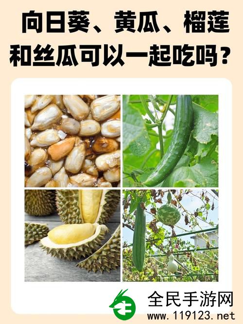 榴莲秋葵向日葵丝瓜黄瓜黄A:夏日健康果蔬搭配指南 榴莲秋葵向日葵丝瓜黄瓜黄A:夏日健康果蔬搭配指南