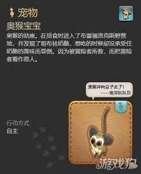最终幻想14奥猴宝宝获取全攻略：水晶世界稀有宠物捕捉技巧与隐藏掉落点解析