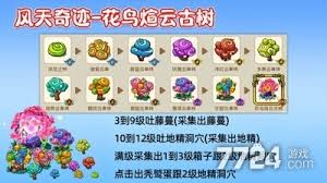 幻兽爱合成奇迹智慧长者全攻略：从入门到精通的属性搭配与进化指南