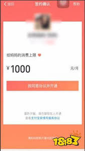 2025年支付宝亲情卡额度解析：家庭资金共享的正确打开方式
