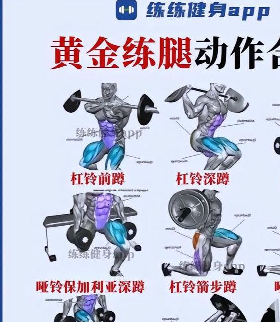 史上最全健身姿势避坑指南:30种常见错误动作图解与科学纠正 史上最全健身姿势避坑指南:30种常见错误动作图解与科学纠正