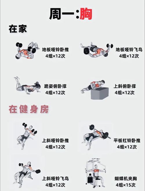 史上最全健身姿势避坑指南:30种常见错误动作图解与科学纠正 史上最全健身姿势避坑指南:30种常见错误动作图解与科学纠正