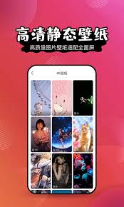 动态壁纸精灵安卓版下载安装全攻略：解锁个性化手机界面的正确姿势