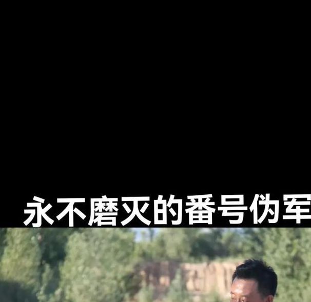 永不磨灭的番号小说深度解读：战争叙事中的英雄群像与人性光辉解析