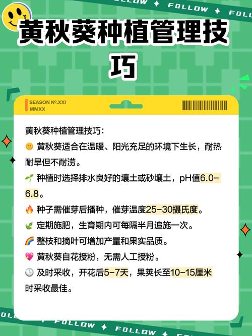 秋葵黄APP官方免费下载入口及API接口调用指南(安卓/iOS通用版) 秋葵黄APP官方免费下载入口及API接口调用指南(安卓/iOS通用版)