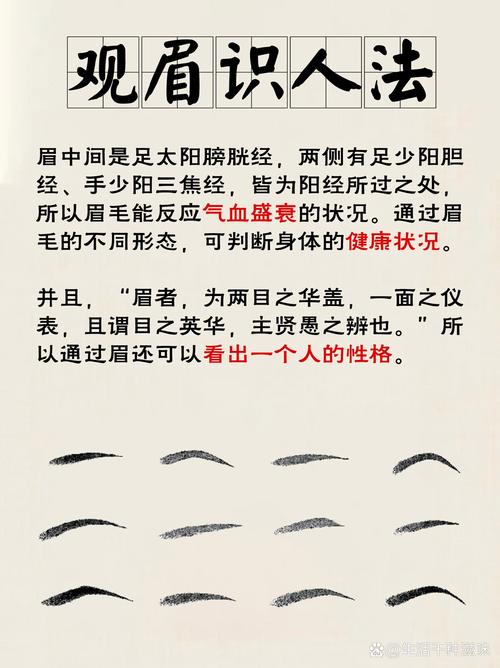 月好眉弯面相学解析：眉形如何影响运势与颜值提升技巧