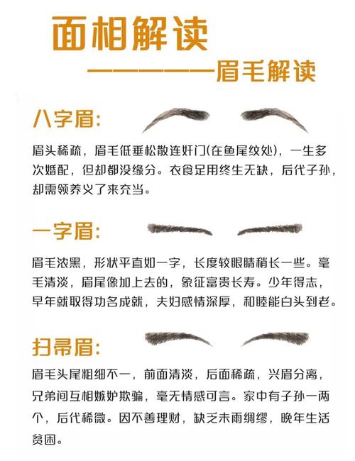月好眉弯面相学解析：眉形如何影响运势与颜值提升技巧