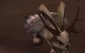 魔兽世界WLK怀旧服2025美酒节限定：鹿角小飞兔刷新点位与高效捕捉技巧全解析