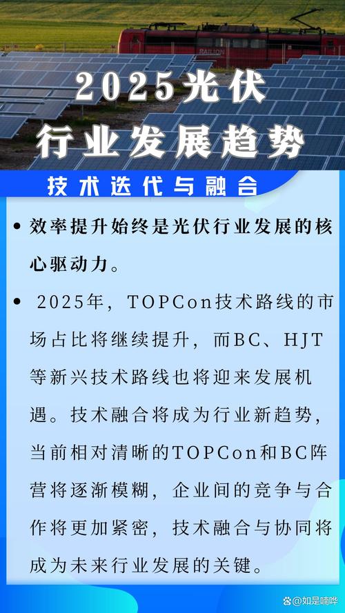 伊人论坛2025年度盛典:行业趋势解读与用户参与全指南 伊人论坛2025年度盛典:行业趋势解读与用户参与全指南