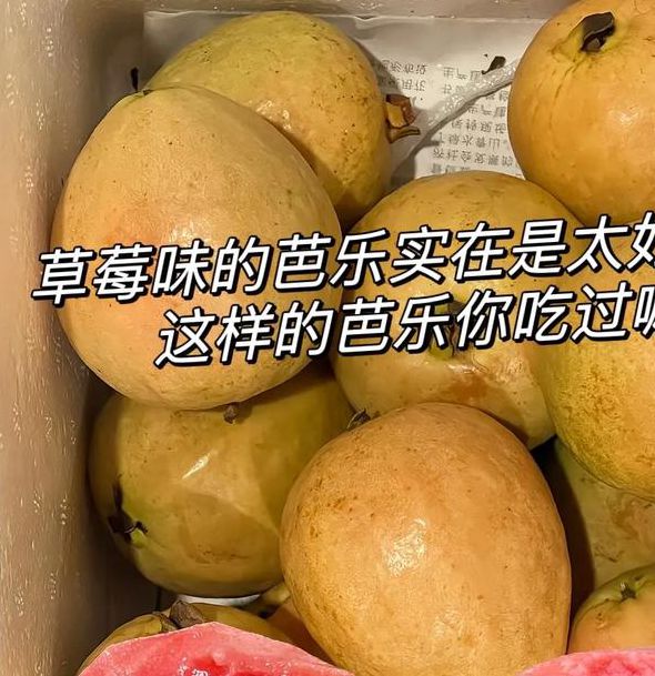 芭乐草莓榴莲大全:品种解析、营养功效与创意吃法指南 芭乐草莓榴莲大全:品种解析、营养功效与创意吃法指南