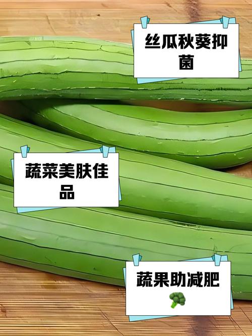 丝瓜秋葵草莓绿巨人大全最新版:这4种高产种植秘诀为何让农户疯狂? 丝瓜秋葵草莓绿巨人大全最新版:这4种高产种植秘诀为何让农户疯狂?